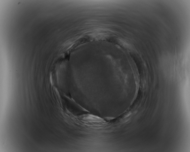 X0000086301010200704201938