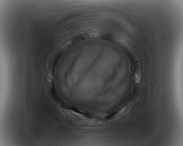 X0000086301011200704201938