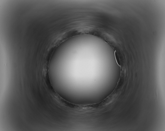 X0000086301012200704201938