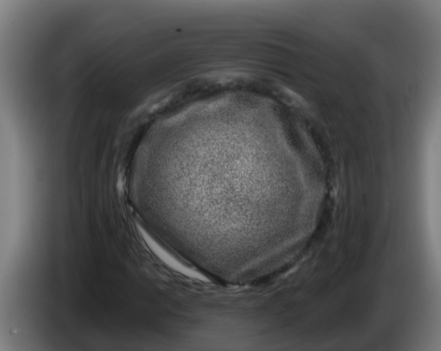 X0000086301014200704201938