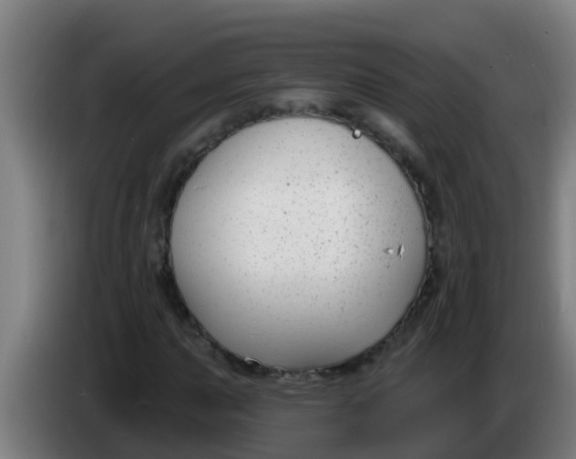 X0000086301015200704201938