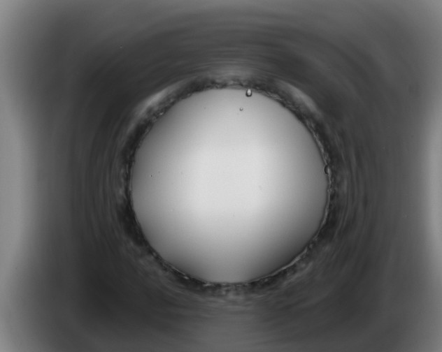 X0000086301016200704201938