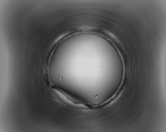 X0000086301017200704201938