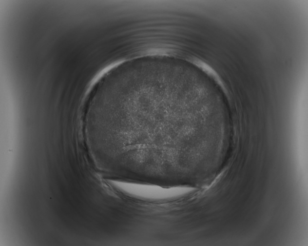 X0000086301019200704201938