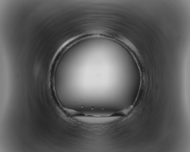 X0000086301020200704201938