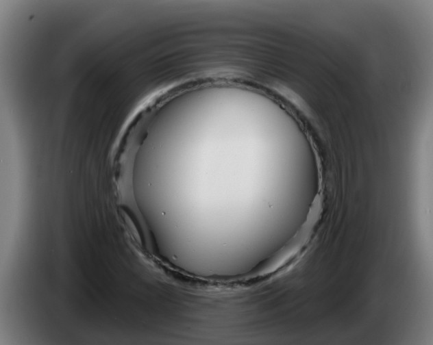 X0000086301022200704201938