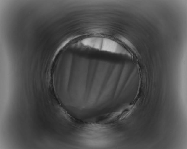 X0000086301023200704201938