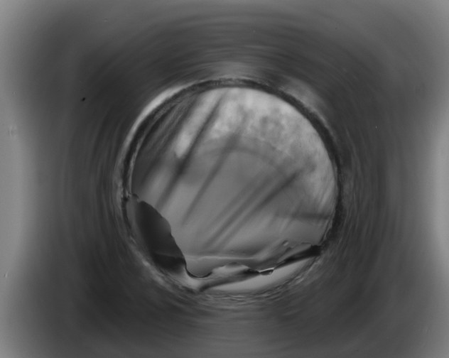 X0000086301024200704201938