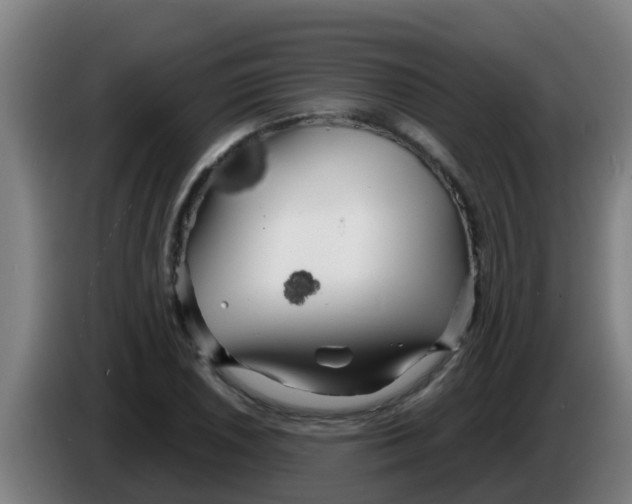 X0000086301026200704201938