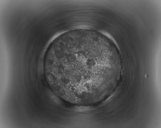 X0000086301027200704201938