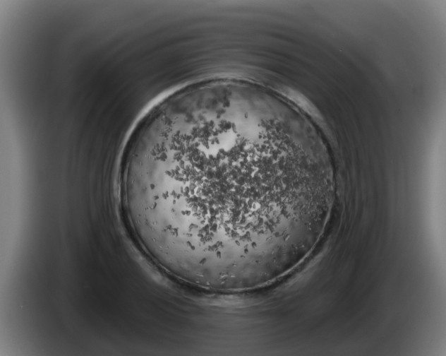 X0000086301028200704201938