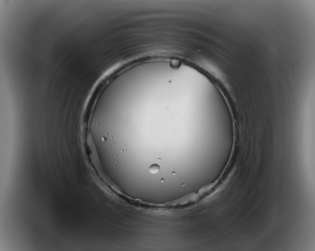 X0000086301029200704201938