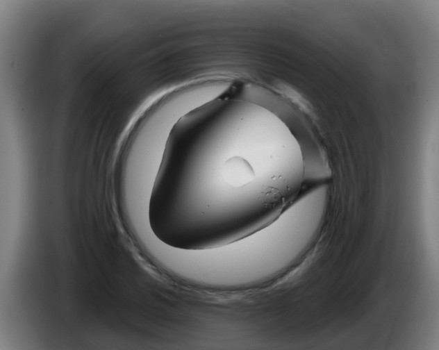 X0000086301030200704201938