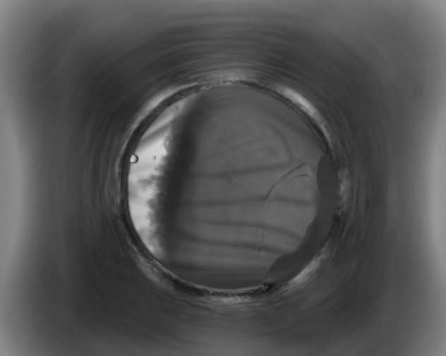 X0000086301031200704201938