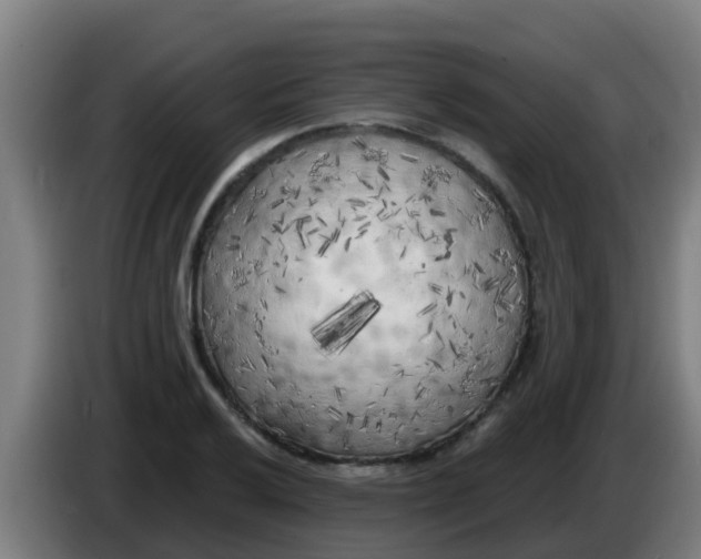 X0000086301032200704201938