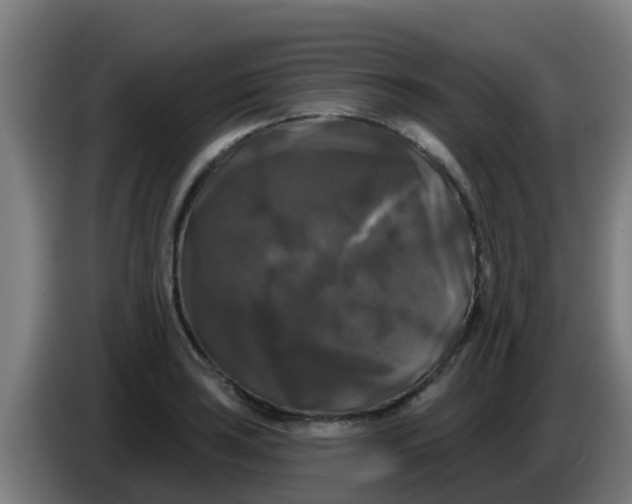 X0000086301035200704201938