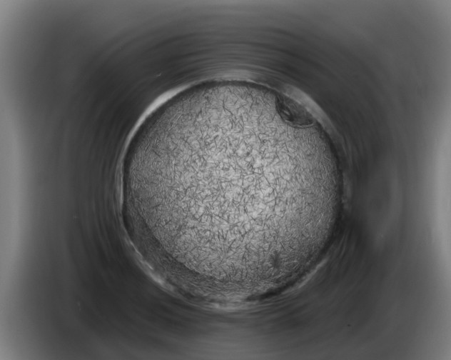 X0000086301036200704201938