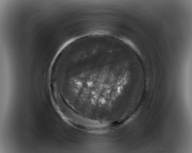 X0000086301038200704201938