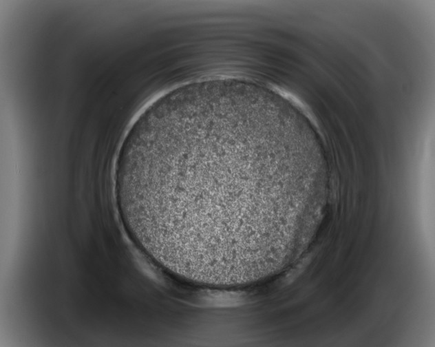 X0000086301039200704201938