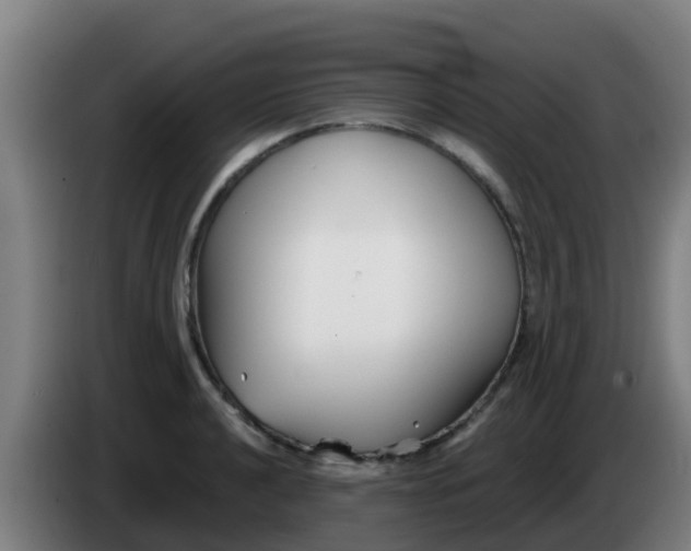 X0000086301040200704201938