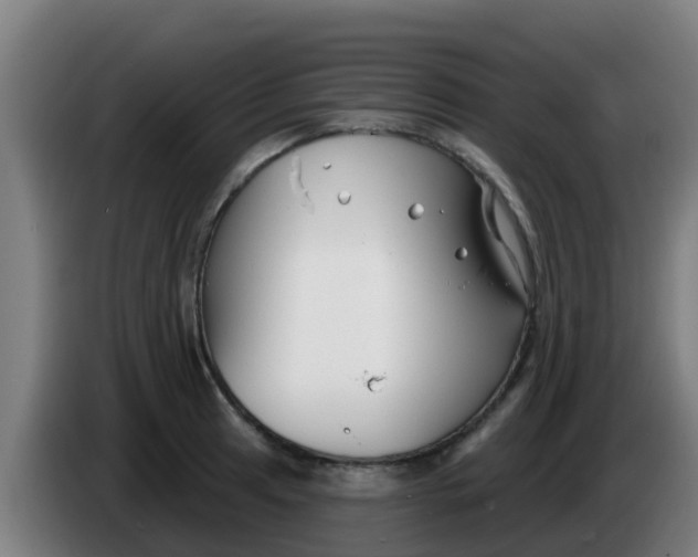 X0000086301041200704201938