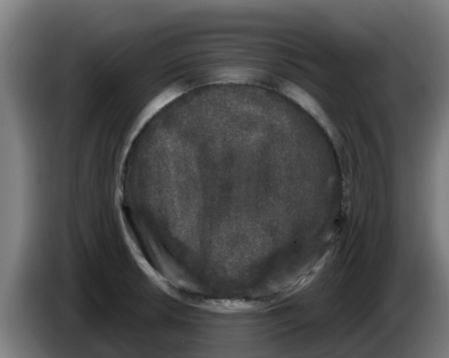 X0000086301042200704201938