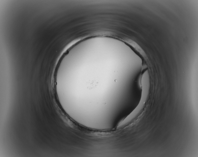 X0000086301044200704201938