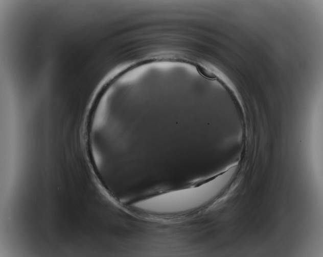 X0000086301045200704201938