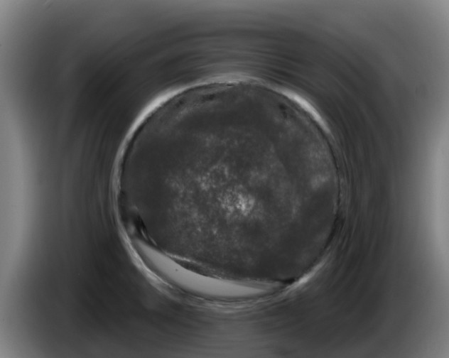 X0000086301046200704201938