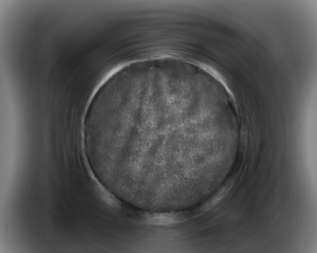 X0000086301047200704201938