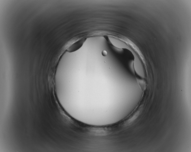 X0000086301049200704201939