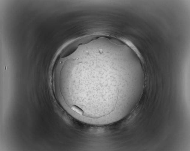 X0000086301051200704201939