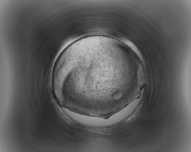 X0000086301052200704201939