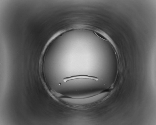 X0000086301053200704201939