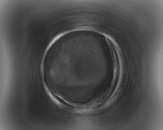 X0000086301054200704201939