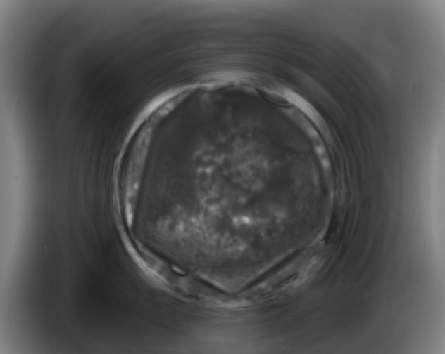 X0000086301055200704201939