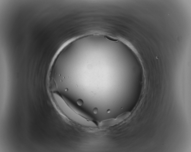 X0000086301056200704201939