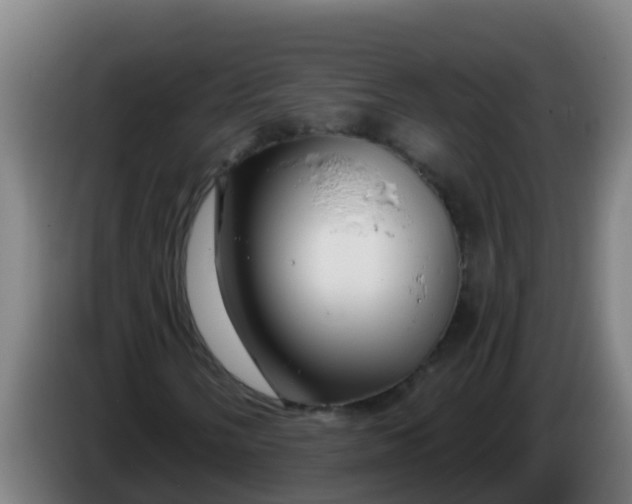 X0000086301058200704201938