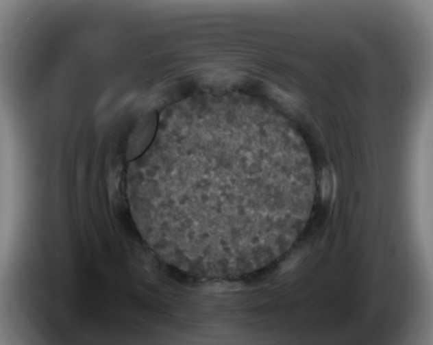 X0000086301059200704201938