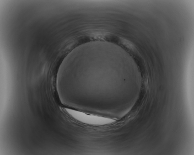 X0000086301060200704201938