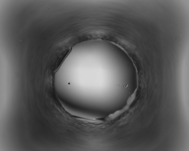 X0000086301061200704201938