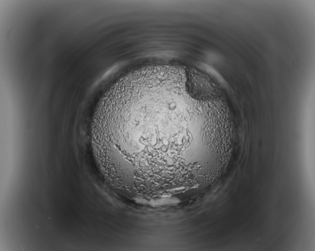 X0000086301064200704201938