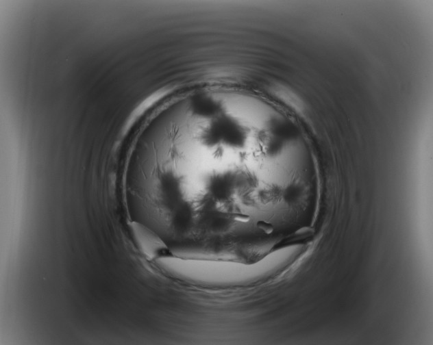 X0000086301066200704201938