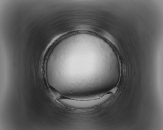 X0000086301068200704201938