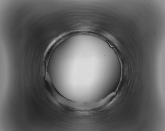 X0000086301069200704201938