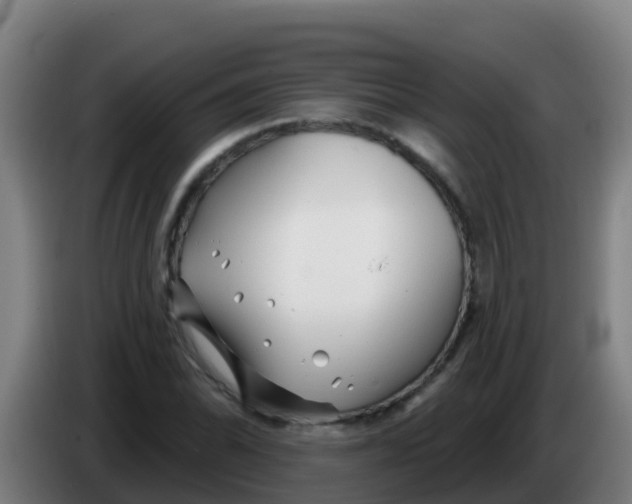 X0000086301070200704201938