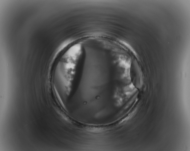 X0000086301071200704201938