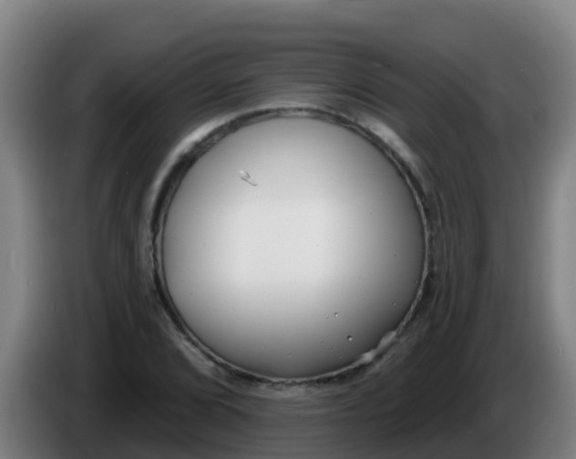 X0000086301072200704201938