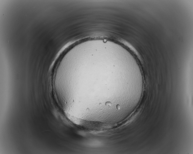 X0000086301075200704201938