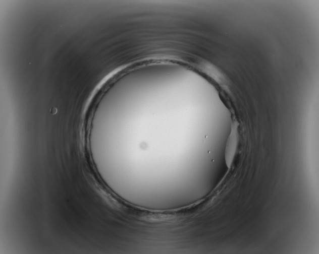 X0000086301076200704201938